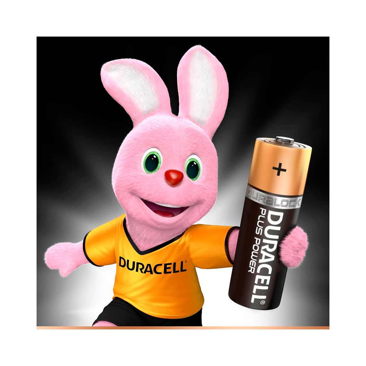 Duracell - AAA Plus Power (LR03)