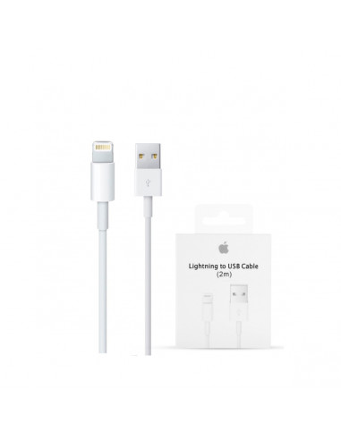 Apple Lightning To USB Cable 2