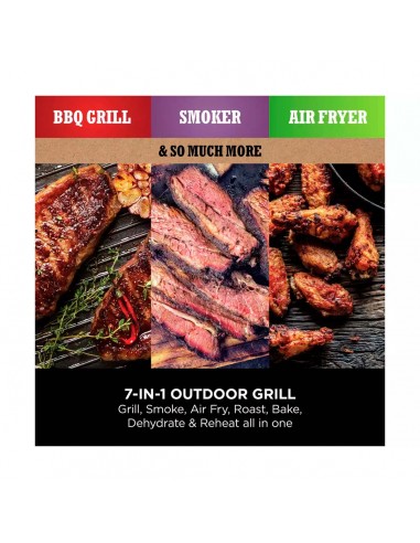 Ninja Woodfire Electric BBQ Grill &...