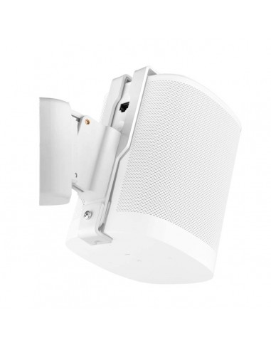 Cavus Wall Mount For One White