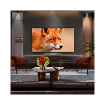 LG- Television 48'' UHD OLED EVO ALFA9 144HZ (48C54LA)