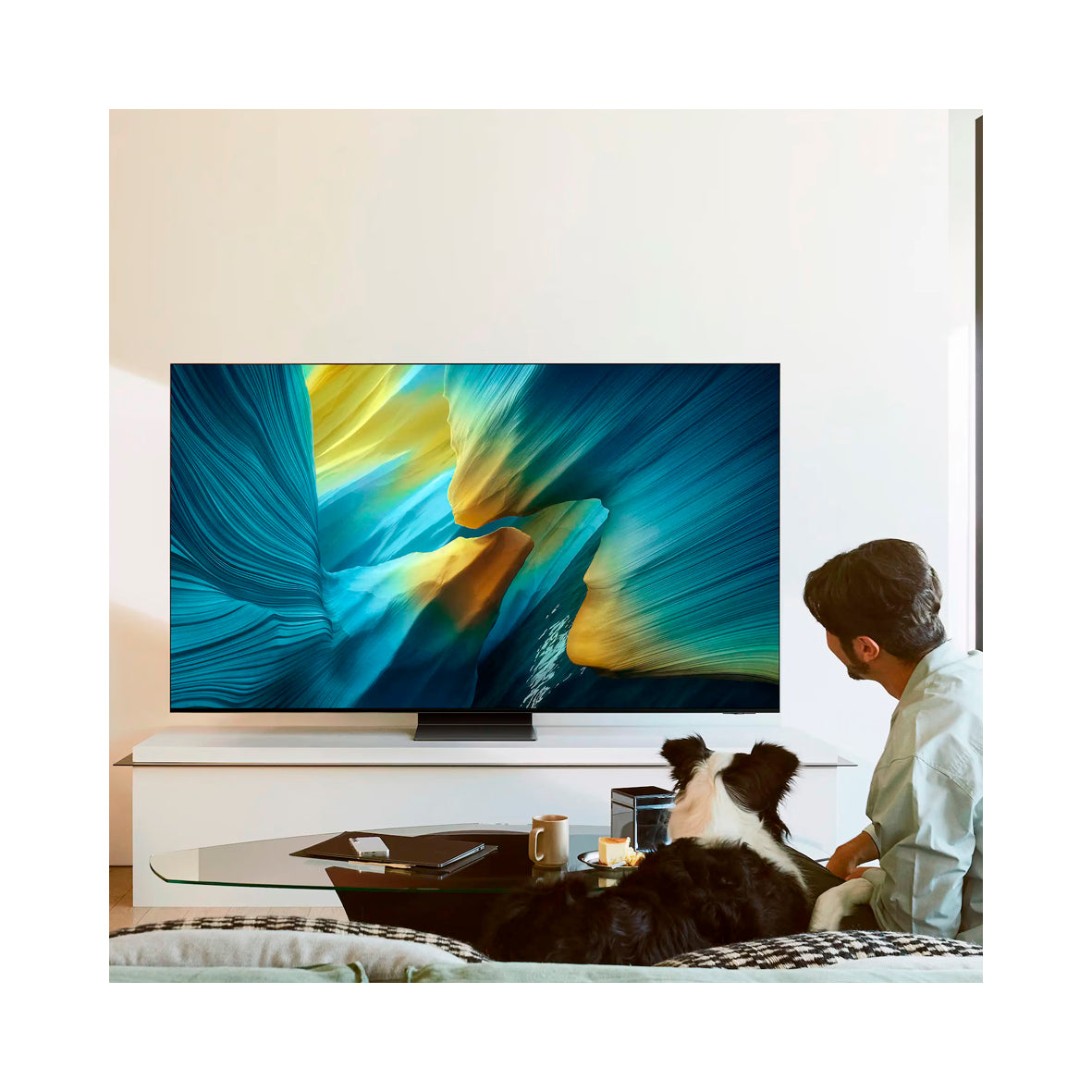 Samsung - 55" Oled 4K UHD (TQ55S95F)