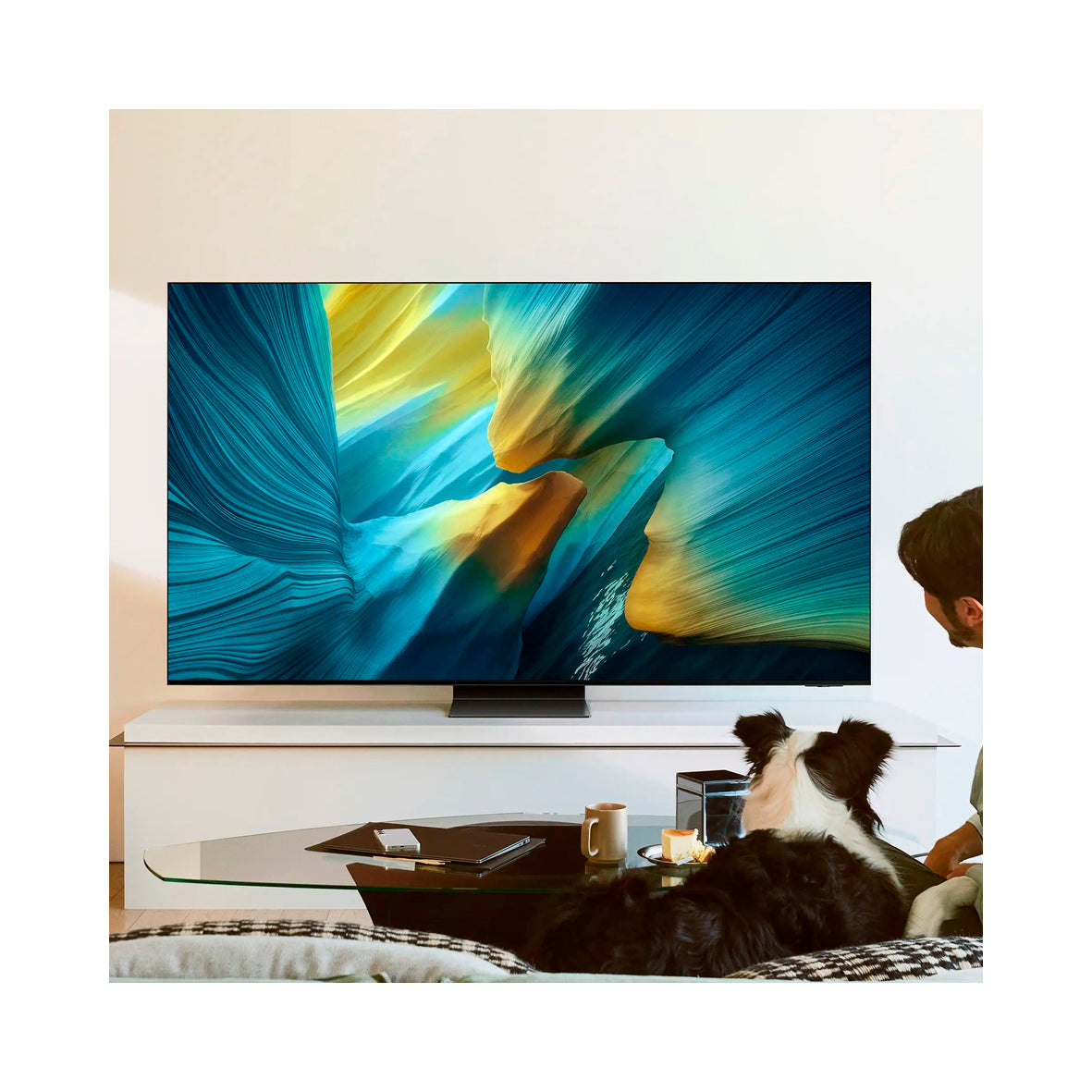 Samsung - 77'' Oled UHD (TQ77S95FAT)