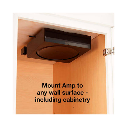 Sanus - Wall Mount Sonos Amp